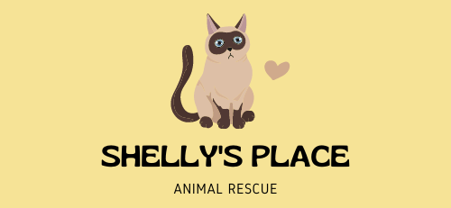 Shelly's Place
